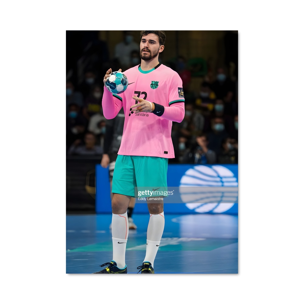 Poster Ludovic fabregas